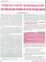 Giải pháp củng cố và phát triển ngân hàng thương mại cổ phần góp phần xây dựng hệ thống các tổ chức tín dụng hiện đại 