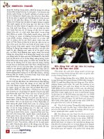 Những động thái chính sách tiền tệ năm 2008 và triển vọng năm 2009 