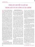 Tính lưu chuyển và rủi ro trong đầu tư các công cụ tài chính 