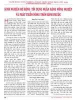 Kinh nghiệm mở rộng tín dụng ngân hàng nông nghiệp và phát triển nông thôn bình phước 