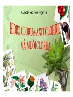 Bài giảng bài hiđro clorua   axit clohiđric và muối clorua hóa học 10 (4) 