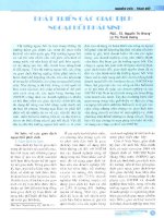 Phát triển các giao dịch ngoại hối phái sinh 