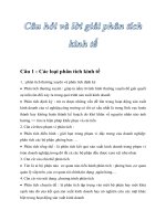 Câu hỏi và lời giải Phân tích kinh tế