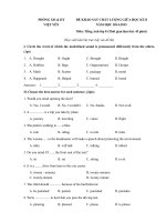 Đề thi giữa học kỳ II môn Tiếng Anh lớp 8 huyện Việt Yên năm 2015