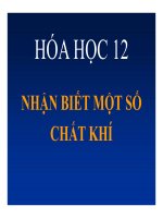 Bài giảng bài nhận biết một số chất khí hóa học 12 (5) 