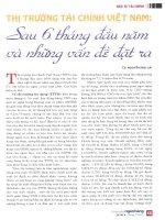   thị trường tài chính việt nam sau 6 tháng đầu năm và những vấn đề đặt ra 