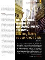 Bài học kinh nghiệm về đo lường rủi ro tín dụng từ khủng hoảng nợ dưới chuẩn ở mỹ 