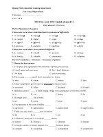 Đề thi học kỳ I môn Tiếng Anh trường THPT Văn Lang