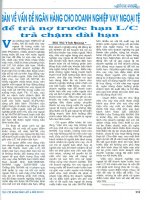 Bàn về vấn đề ngân hàng cho doanh nghiệp vay ngoại tệ để trả nợ trước hạn l c trả chậm dài hạn 