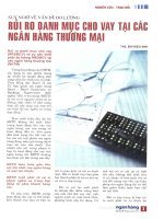 Suy nghĩ về vấn đề đo lường rủi ro danh mục cho vay tại các ngân hàng thương mại 