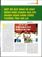 Một số suy nghĩ về hoạt động kinh doanh của chi nhánh ngân hàng công thương tỉnh gia lai 