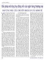 Giải pháp mở rộng huy động vốn của ngân hàng thương mại đáp ứng nhu cầu chuyển dịch cơ cấu kinh tế 
