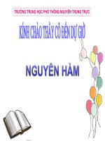 Bài giảng bài nguyên hàm giải tích 12 (4) 