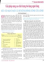 Giải pháp nâng cao chất lượng tín dụng ngân hàng đối với nghề nuôi cá bè đồng bằng sông cửu long 