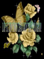 Bài giảng bài diện tích hình thang toán 5 (5) 