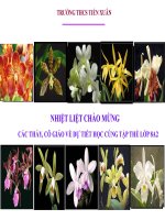 Bài giảng bài liên hệ giữa thứ tự và phép cộng đại số 8 (4) 