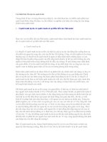 Các hình thức tồn tại của cạnh tranh