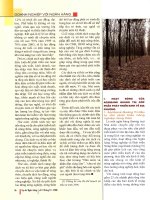 Agribank quảng trị với chính sách cho vay phát triển cây cao su tiểu điền 