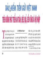 Bảo hiểm tiền gửi việt nam trên đường phát triển an toàn, hiệu quả, bền vững và hội nhập 