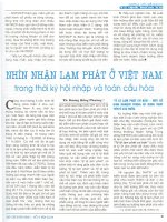 Nhìn nhận lạm phát ở việt nam trong thời kỳ hội nhập và toàn cầu hóa 