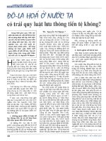 Đô la hóa ở nước ta có trái quy luật lưu thông tiền tệ không 