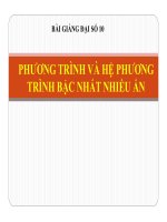 Bài giảng bài phương trình và hệ phương trình bậc nhất nhiều ẩn đại số 10 (4) 