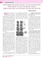 Bàn về những sửa đổi, bổ sung về kế toán phân biệt vàng tiền tệ và vàng phi tiền tệ trong kinh doanh vàng tại ngân hàng thương mại việt nam 