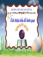 Bài giảng bài giới thiệu biểu đồ hình quạt toán 5 (6) 