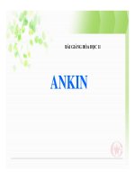 Bài giảng bài ankin hóa học 11 (5) 