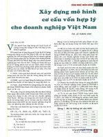 Xây dựng mô hình cơ cấu vốn hợp lý cho doanh nghiệp việt nam 