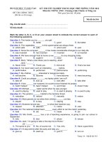 Đề thi tốt nghiệp THPT tiếng Anh chương trình chuẩn và nâng cao (2012 - Mã đề 516)