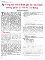 Áp dụng mô hình định giá quyền chọn trong quản lý rủi ro tín dụng 