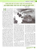 Nhận diện một số thách thức và cơ hội đối với các ngân hàng TMCP khi việt nam gia nhập WTO 