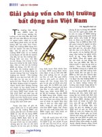 Giải pháp vốn cho thị trường bất động sản việt nam 