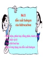 Bài giảng bài dẫn xuất halogen của hiđrocacbon hóa học 11 (4) 
