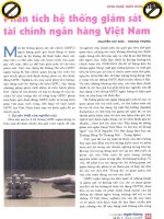 Phân tích hệ thống giám sát tài chính ngân hàng việt nam 