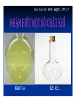 Bài giảng bài nhận biết một số chất khí hóa học 12 (3) 