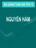 Bài giảng bài nguyên hàm giải tích 12 (8) 