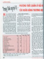 Trạng thái ngoại tệ phương thức quản lý rủi ro của ngân hàng thương mại 