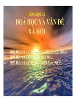 Bài giảng bài hóa học và vấn đề xã hội hóa học 12 (3) 