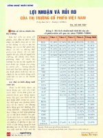Lợi nhuận và rủi ro của thị trường cổ phiếu việt nam 