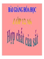Bài giảng bài hợp chất của sắt hóa học 12 (2) 