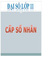 Bài giảng bài cấp số nhân đại số 11 (4) 