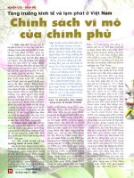 Tăng trưởng kinh tế và lạm phát ở việt nam chính sách vĩ mô của chính phủ 