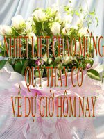 Bài giảng toán lớp 5 ôn tập về giải toán tham khảo (7) 