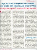 Một số kinh nghiệm về hoạt động can thiệp của ngân hàng trung ương trên thị trường ngoại hối của các nước đang phát triển 