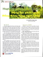 Hoạt động kinh tế đối ngoại   động lực phát triển đồng bằng sông cửu long 