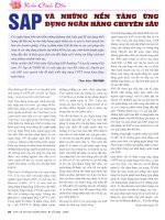 SAP và những nền tảng ứng dụng ngân hàng chuyên sâu 