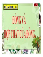 Bài giảng bài đồng và hợp chất của đồng hóa học 12 (6) 