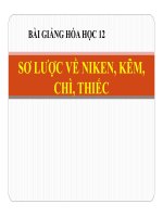 Bài giảng bài sơ lược về niken, kẽm, chì, thiếc hóa học 12 